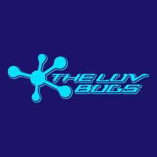 THE LUV BUGS