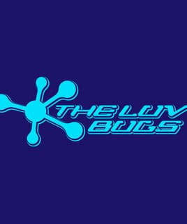 THE LUV BUGS